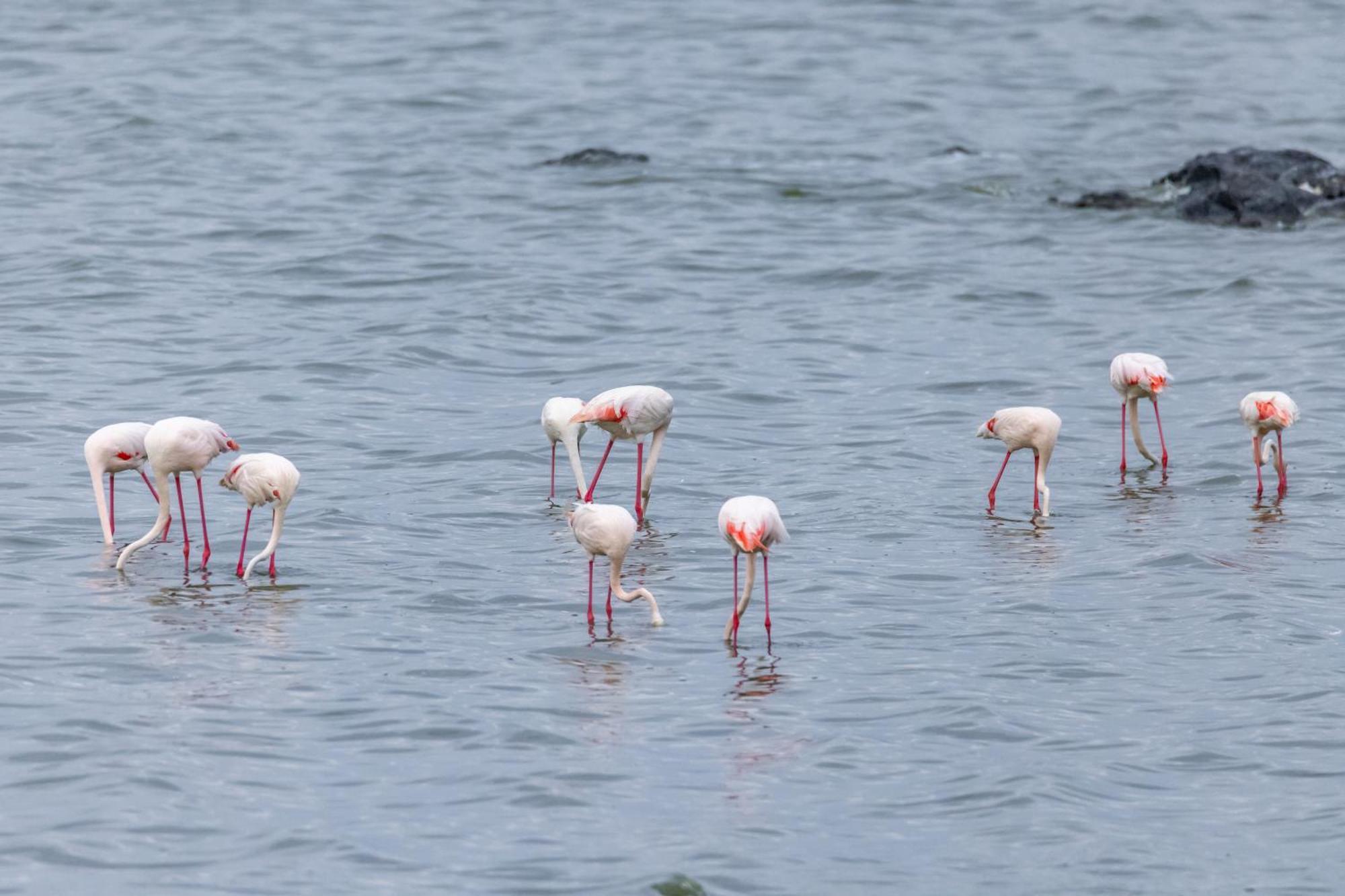 Sentrim Elementaita Lodge Elmenteita Dış mekan fotoğraf