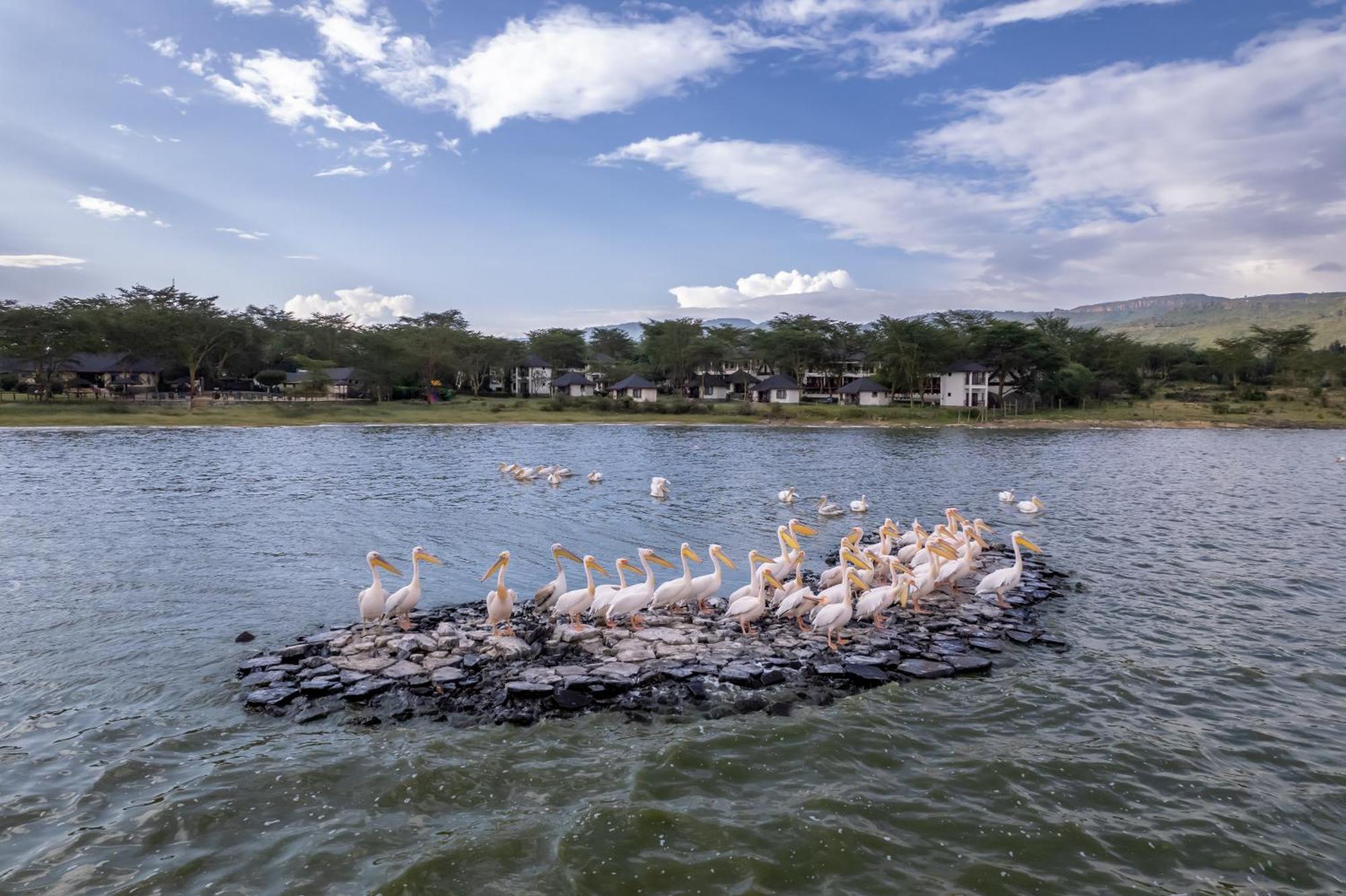Sentrim Elementaita Lodge Elmenteita Dış mekan fotoğraf